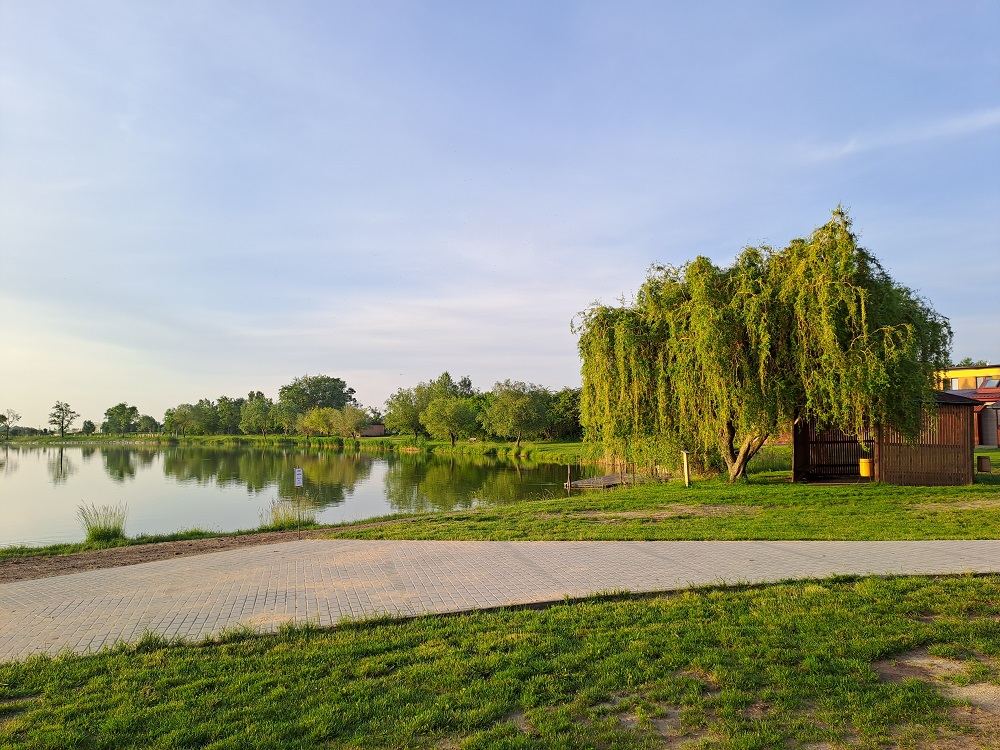 Rybník u Rakvic